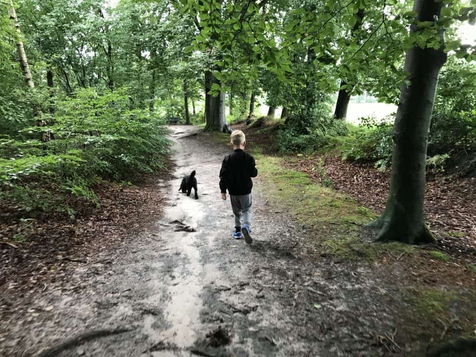 Camping 't hout bakkeveen